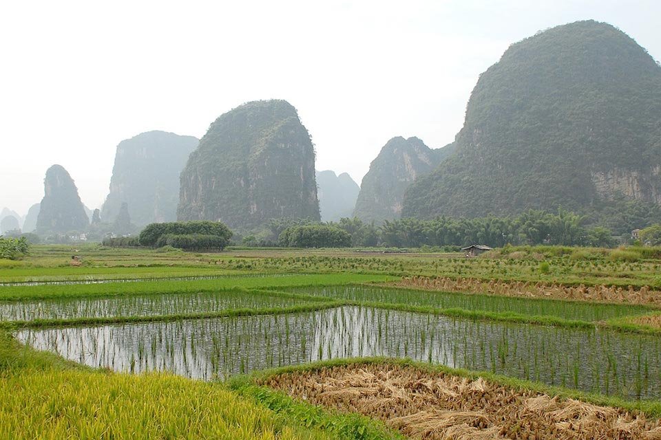 rice paddies and mountains
