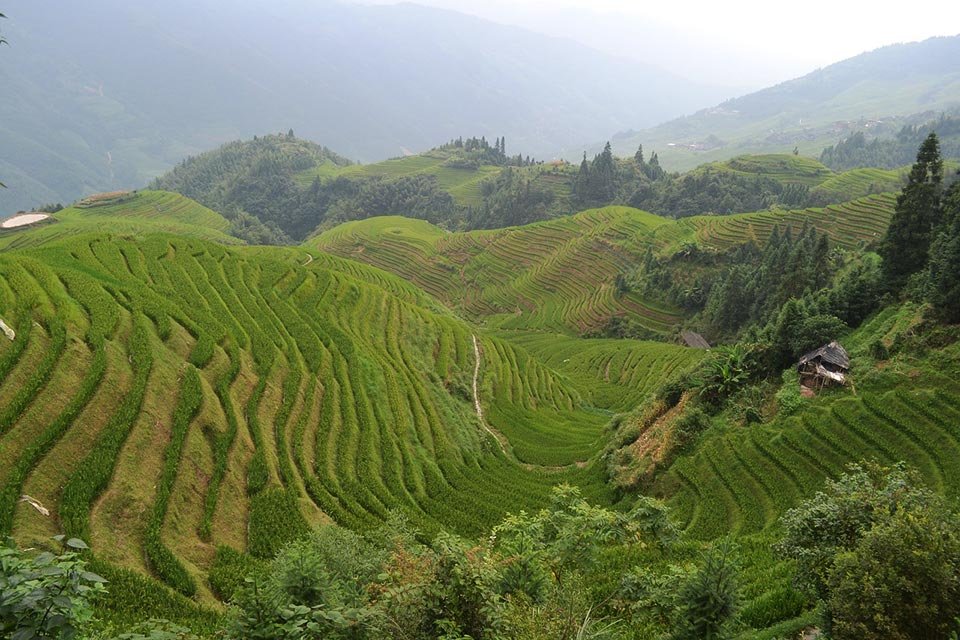 Longsheng rice terraces
